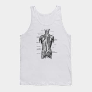 Human Muscular System - Back and Glutes - Vintage Anatomy Tank Top